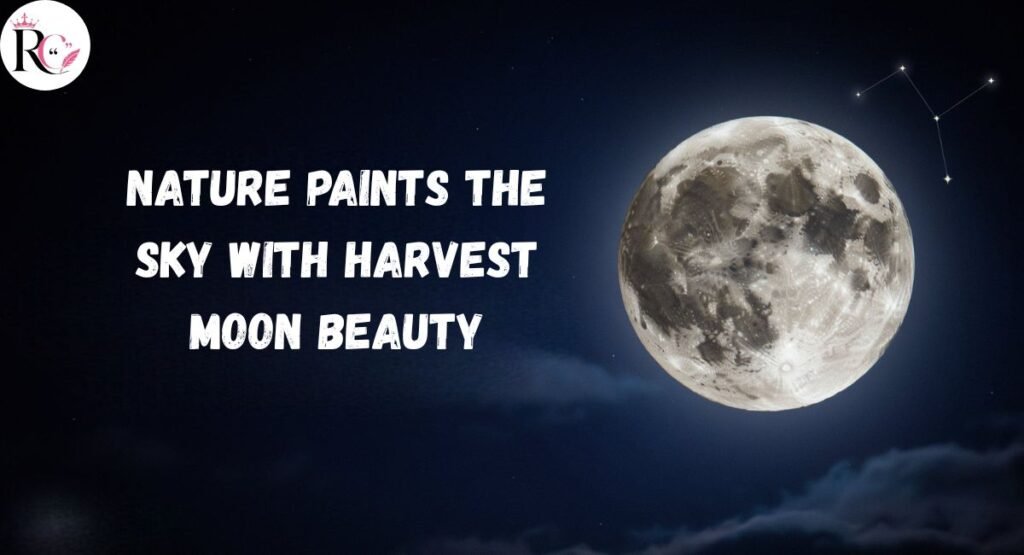 Harvest Moon Captions For Instagram