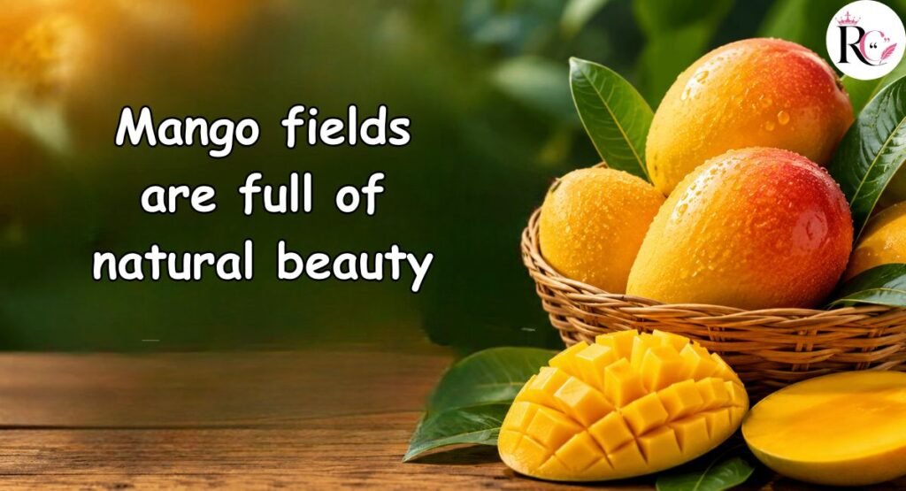 Mango Farm Captions For Instagram